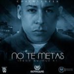 Cosculluela - No Te Metas MP3